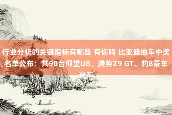 行业分析的关键指标有哪些 有你吗 比亚迪抽车中奖名单公布：共90台仰望U8、腾势Z9 GT、豹8豪车