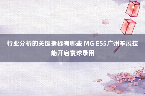 行业分析的关键指标有哪些 MG ES5广州车展技能开启寰球录用