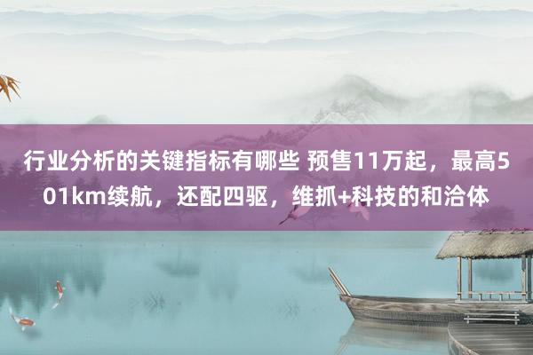 行业分析的关键指标有哪些 预售11万起，最高501km续航，还配四驱，维抓+科技的和洽体