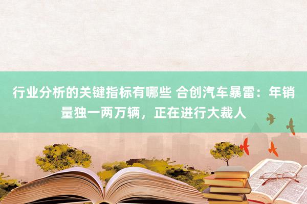 行业分析的关键指标有哪些 合创汽车暴雷：年销量独一两万辆，正在进行大裁人