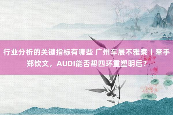 行业分析的关键指标有哪些 广州车展不雅察丨牵手郑钦文，AUDI能否帮四环重塑明后？