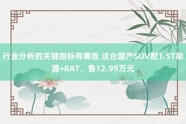 行业分析的关键指标有哪些 这台国产SUV配1.5T能源+8AT，售12.99万元