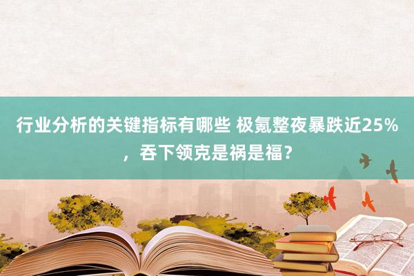 行业分析的关键指标有哪些 极氪整夜暴跌近25%，吞下领克是祸是福？