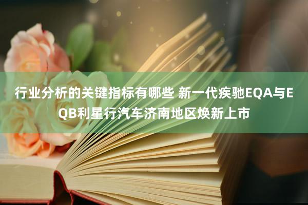 行业分析的关键指标有哪些 新一代疾驰EQA与EQB利星行汽车济南地区焕新上市