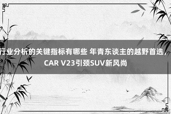 行业分析的关键指标有哪些 年青东谈主的越野首选，iCAR V23引颈SUV新风尚