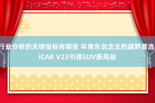 行业分析的关键指标有哪些 年青东说念主的越野首选，iCAR V23引颈SUV新风俗