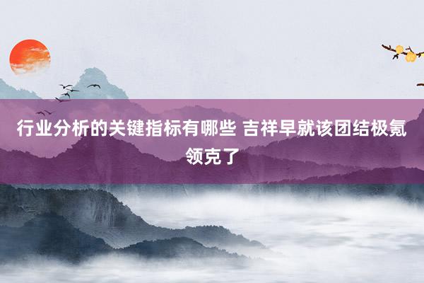 行业分析的关键指标有哪些 吉祥早就该团结极氪领克了