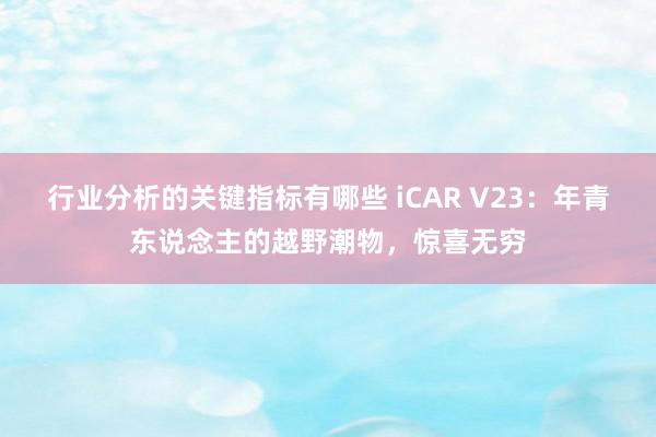 行业分析的关键指标有哪些 iCAR V23：年青东说念主的越野潮物，惊喜无穷