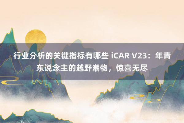 行业分析的关键指标有哪些 iCAR V23：年青东说念主的越野潮物，惊喜无尽