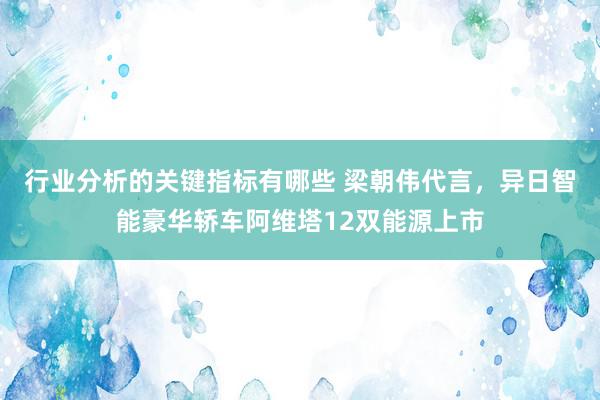 行业分析的关键指标有哪些 梁朝伟代言，异日智能豪华轿车阿维塔12双能源上市