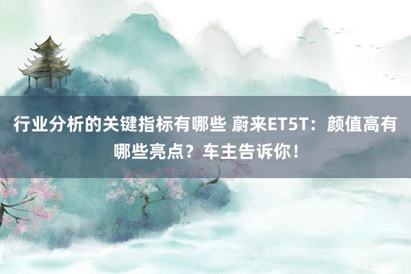 行业分析的关键指标有哪些 蔚来ET5T：颜值高有哪些亮点？车主告诉你！