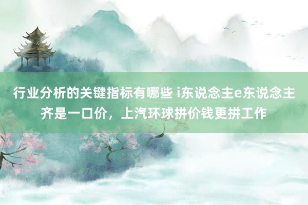 行业分析的关键指标有哪些 i东说念主e东说念主齐是一口价，上汽环球拼价钱更拼工作