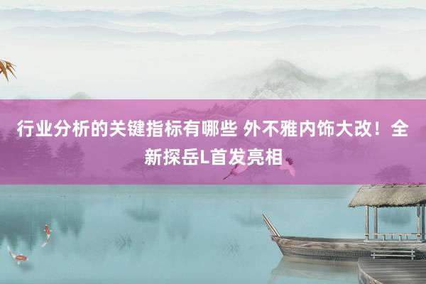 行业分析的关键指标有哪些 外不雅内饰大改！全新探岳L首发亮相