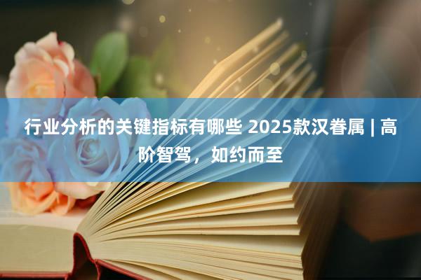 行业分析的关键指标有哪些 2025款汉眷属 | 高阶智驾，如约而至