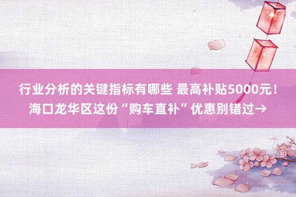 行业分析的关键指标有哪些 最高补贴5000元！海口龙华区这份“购车直补”优惠别错过→