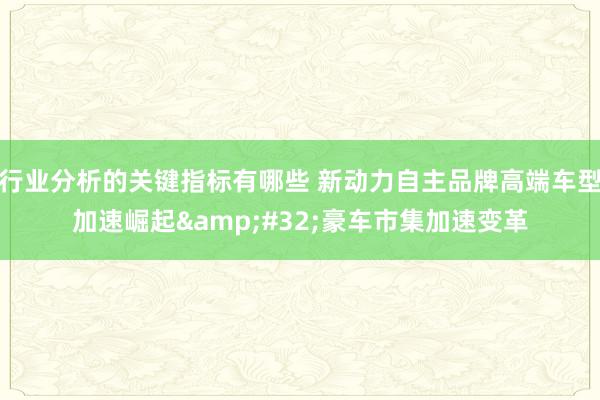 行业分析的关键指标有哪些 新动力自主品牌高端车型加速崛起&#32;豪车市集加速变革