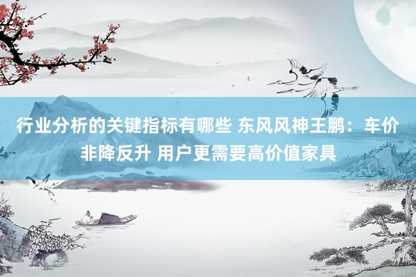 行业分析的关键指标有哪些 东风风神王鹏：车价非降反升 用户更需要高价值家具