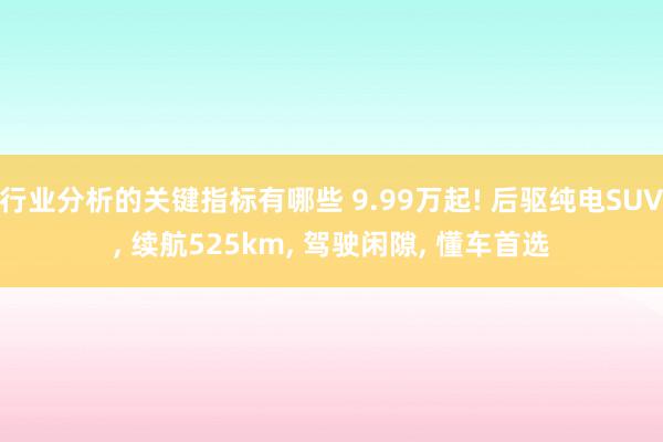 行业分析的关键指标有哪些 9.99万起! 后驱纯电SUV, 续航525km, 驾驶闲隙, 懂车首选