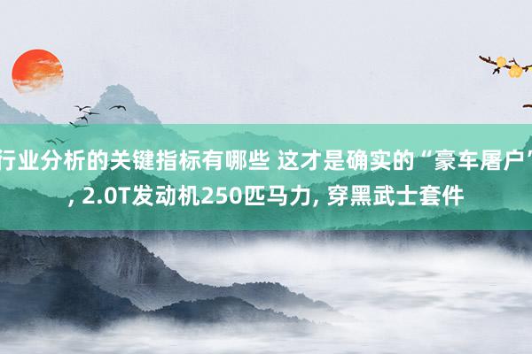 行业分析的关键指标有哪些 这才是确实的“豪车屠户”, 2.0T发动机250匹马力, 穿黑武士套件