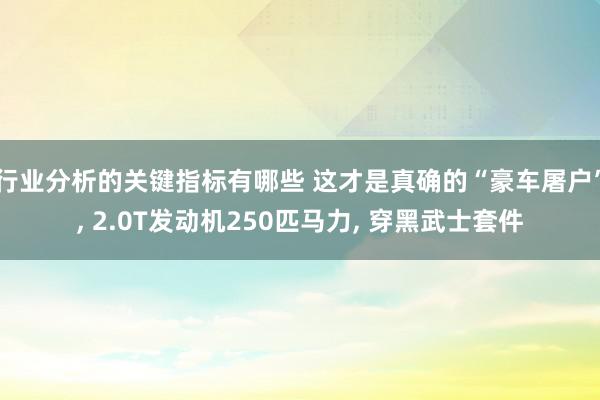 行业分析的关键指标有哪些 这才是真确的“豪车屠户”, 2.0T发动机250匹马力, 穿黑武士套件