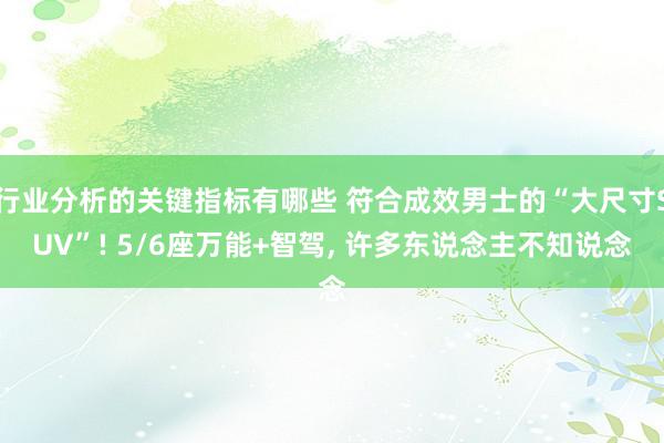 行业分析的关键指标有哪些 符合成效男士的“大尺寸SUV”! 5/6座万能+智驾, 许多东说念主不知说念