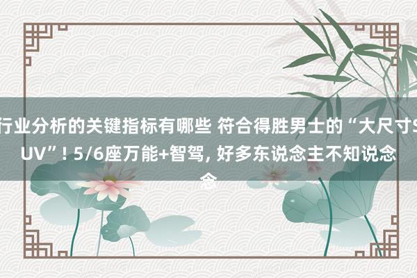 行业分析的关键指标有哪些 符合得胜男士的“大尺寸SUV”! 5/6座万能+智驾, 好多东说念主不知说念