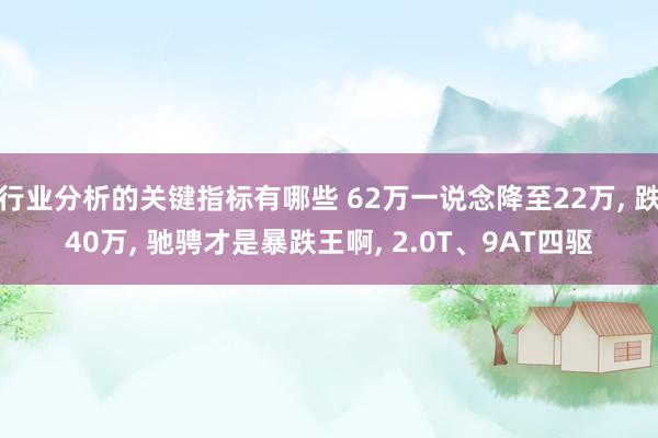 行业分析的关键指标有哪些 62万一说念降至22万, 跌40万, 驰骋才是暴跌王啊, 2.0T、9AT四驱