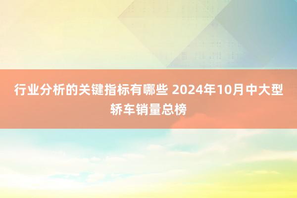 行业分析的关键指标有哪些 2024年10月中大型轿车销量总榜