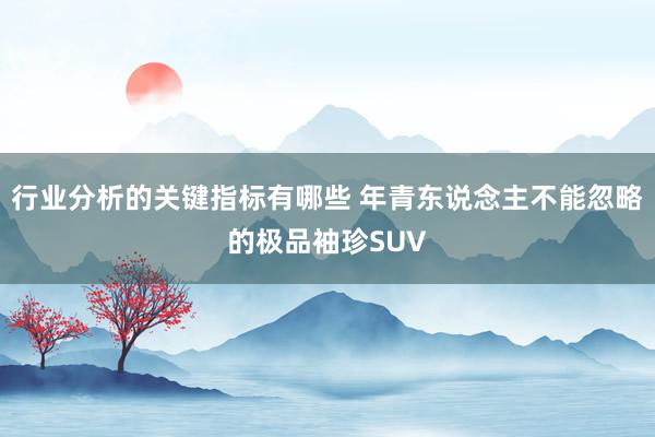 行业分析的关键指标有哪些 年青东说念主不能忽略的极品袖珍SUV