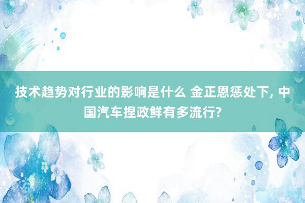 技术趋势对行业的影响是什么 金正恩惩处下, 中国汽车捏政鲜有多流行?