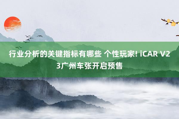 行业分析的关键指标有哪些 个性玩家! iCAR V23广州车张开启预售