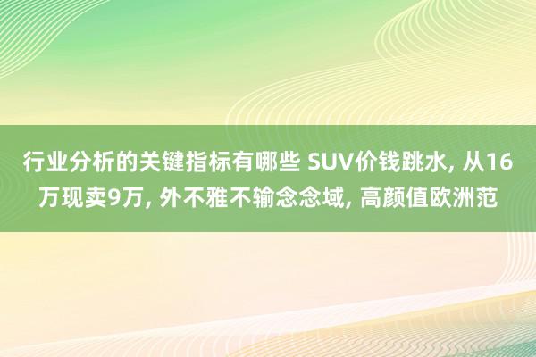 行业分析的关键指标有哪些 SUV价钱跳水, 从16万现卖9万, 外不雅不输念念域, 高颜值欧洲范