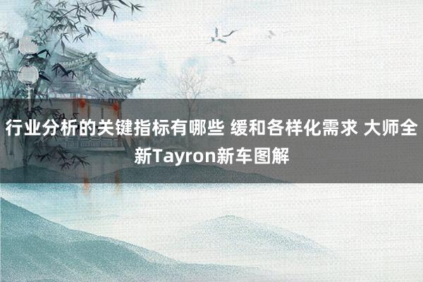 行业分析的关键指标有哪些 缓和各样化需求 大师全新Tayron新车图解