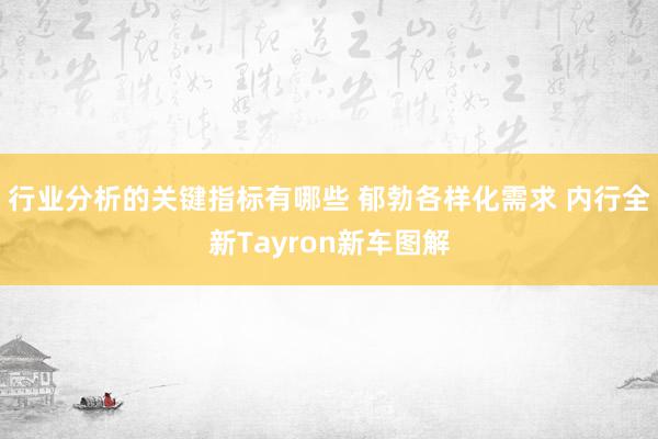 行业分析的关键指标有哪些 郁勃各样化需求 内行全新Tayron新车图解