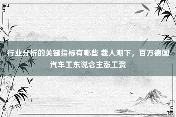 行业分析的关键指标有哪些 裁人潮下，百万德国汽车工东说念主涨工资