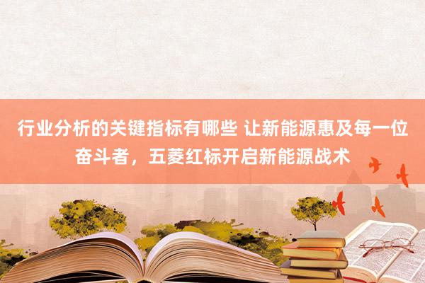 行业分析的关键指标有哪些 让新能源惠及每一位奋斗者，五菱红标开启新能源战术