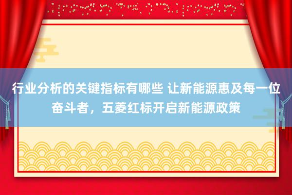 行业分析的关键指标有哪些 让新能源惠及每一位奋斗者，五菱红标开启新能源政策