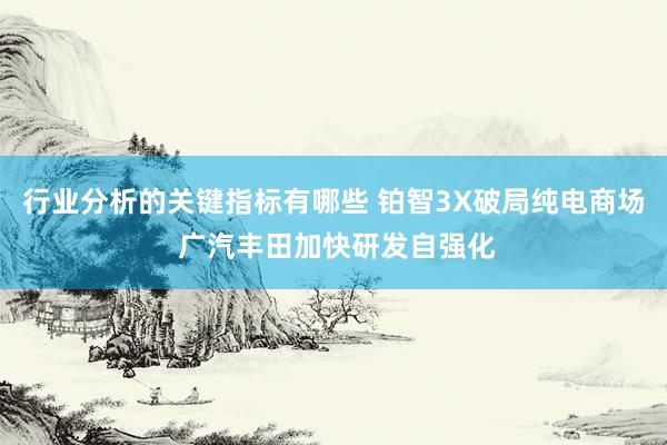 行业分析的关键指标有哪些 铂智3X破局纯电商场 广汽丰田加快研发自强化