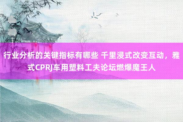 行业分析的关键指标有哪些 千里浸式改变互动，雅式CPRJ车用塑料工夫论坛燃爆魔王人