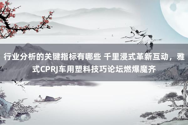 行业分析的关键指标有哪些 千里浸式革新互动，雅式CPRJ车用塑料技巧论坛燃爆魔齐