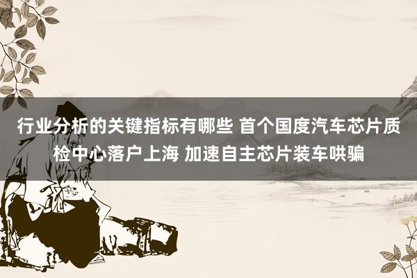 行业分析的关键指标有哪些 首个国度汽车芯片质检中心落户上海 加速自主芯片装车哄骗