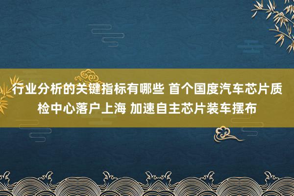 行业分析的关键指标有哪些 首个国度汽车芯片质检中心落户上海 加速自主芯片装车摆布