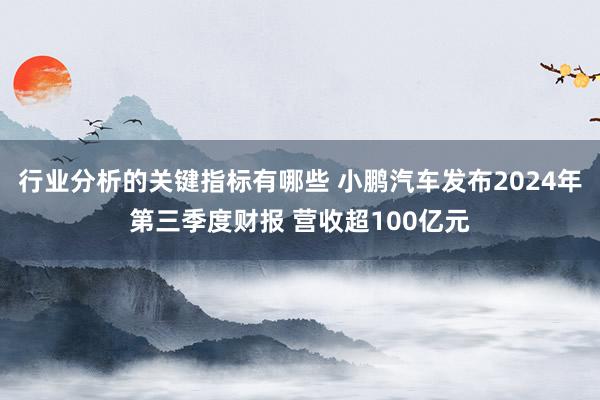 行业分析的关键指标有哪些 小鹏汽车发布2024年第三季度财报 营收超100亿元