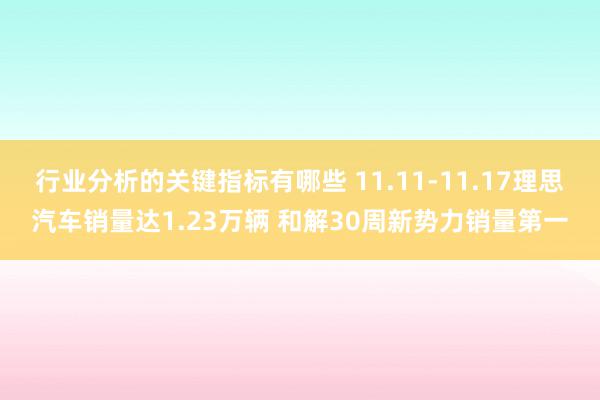 行业分析的关键指标有哪些 11.11-11.17理思汽车销量达1.23万辆 和解30周新势力销量第一