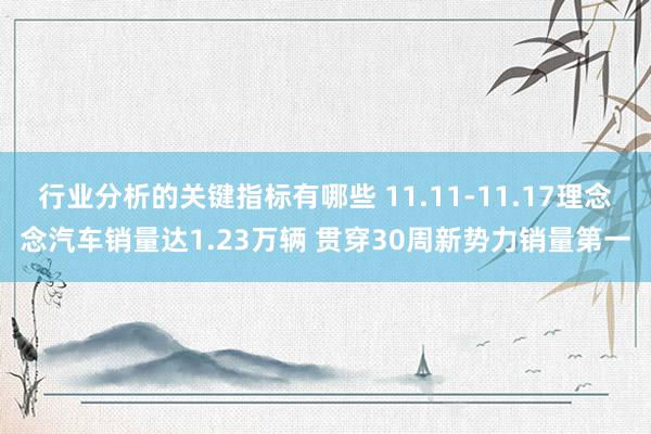 行业分析的关键指标有哪些 11.11-11.17理念念汽车销量达1.23万辆 贯穿30周新势力销量第一