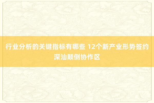 行业分析的关键指标有哪些 12个新产业形势签约深汕颠倒协作区