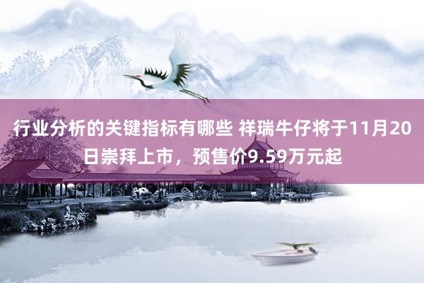 行业分析的关键指标有哪些 祥瑞牛仔将于11月20日崇拜上市，预售价9.59万元起