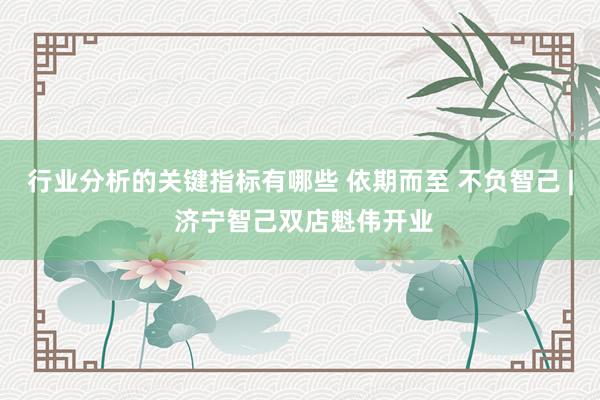 行业分析的关键指标有哪些 依期而至 不负智己 | 济宁智己双店魁伟开业