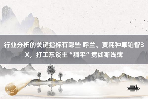 行业分析的关键指标有哪些 呼兰、贾耗种草铂智3X，打工东谈主“躺平”竟如斯浅薄